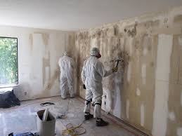 Reliable Brass Castle, NJ Mold Removal Solutions